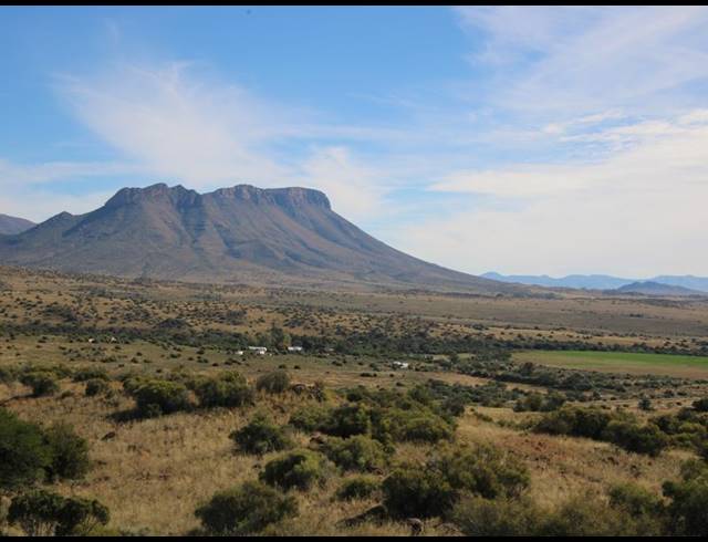 1,848HA FARM FOR SALE IN MIDDELBURG RURAL